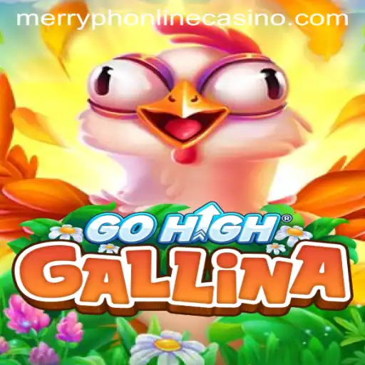 GoHighGallina A Deep Dive
